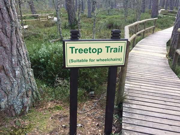 Tree top trail.