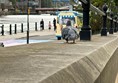 Image of a pigeon on some concrete