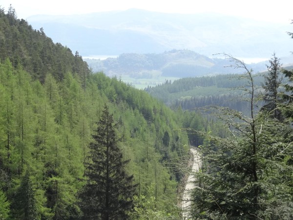 Good forestry roads throughout, although some are rougher than others.