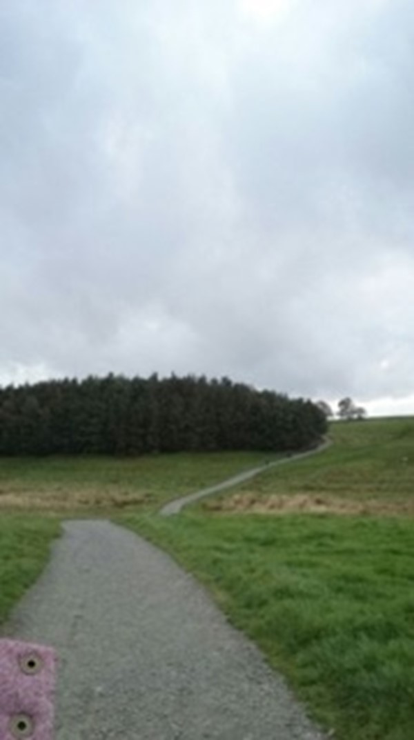 Picture of Housesteads Roman Fort