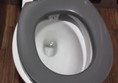 defective toilet seat