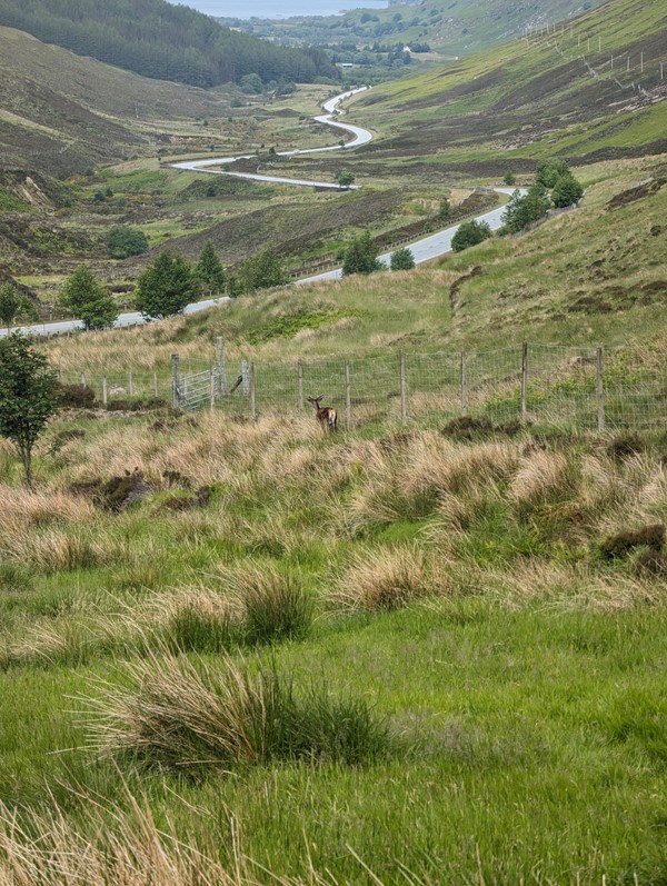 Image of a scenic valley with river and fence