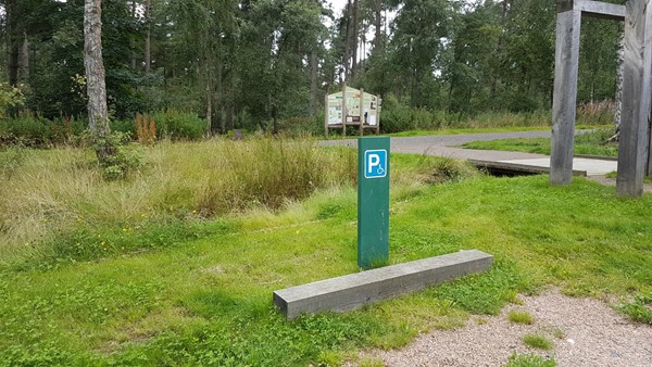 Picture of Devilla Forest Trail, Alloa