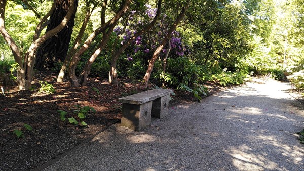 Picture of Saltram, Plymouth