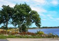 Photo taken from the toilet/accessible car park area. The dam looks lovely and blue, with a tree at the beginning of the walk.