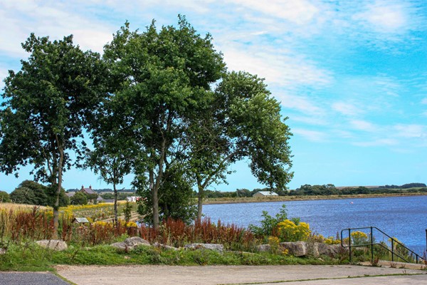 Photo taken from the toilet/accessible car park area. The dam looks lovely and blue, with a tree at the beginning of the walk.