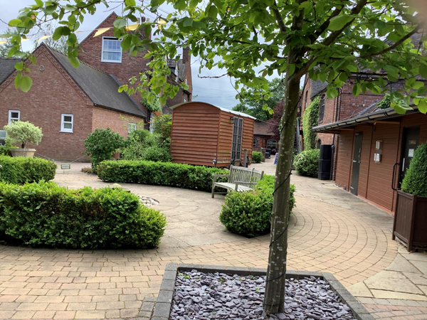 Picture of a path with a tree and some shrubbery