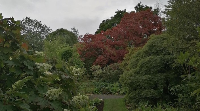 Branklyn Garden