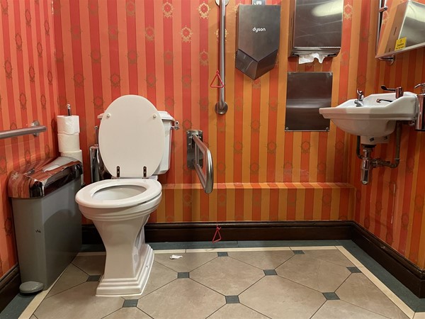 Image of an accessible toilet