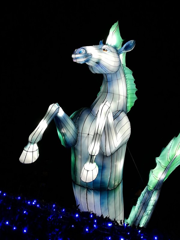 Kelpie Lantern