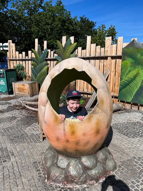 Dinosaur egg