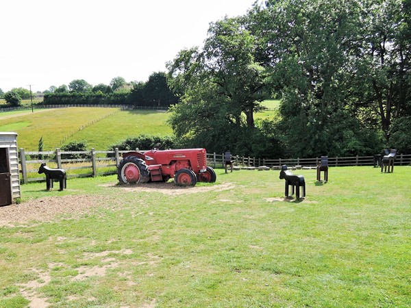 Photo of donkeys on the field.