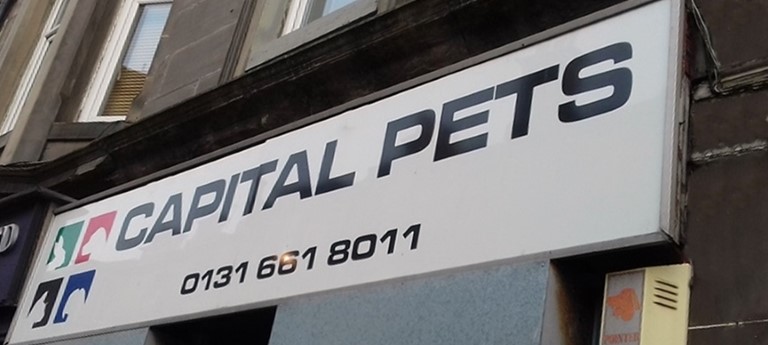 Capital Pets