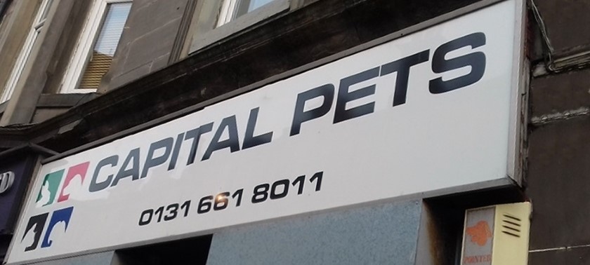 Capital Pets