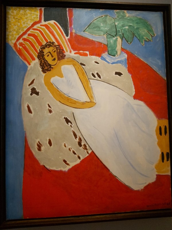 Picture of Musée Matisse