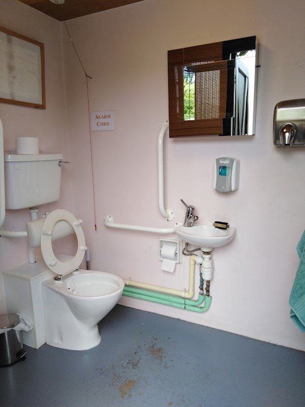 The disabled toilet. (We attached a red cord card )