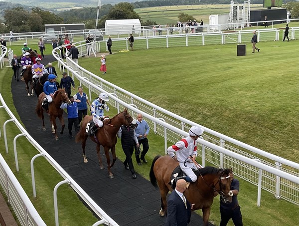 Image of a racecourse