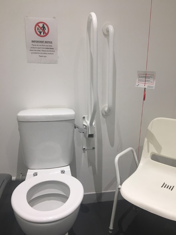 Disabled toilet