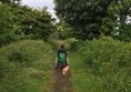 Picture of Tees Railway Path, Romaldkirk to Middleton-on-Tees