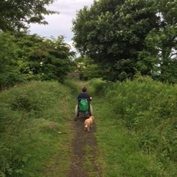 Picture of Tees Railway Path, Romaldkirk to Middleton-on-Tees