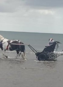 Pony Access at West Sands Beach