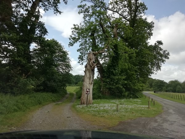 Left to the castle, right to the historic house. Permission can be granted to two people at a time to drive to the castle