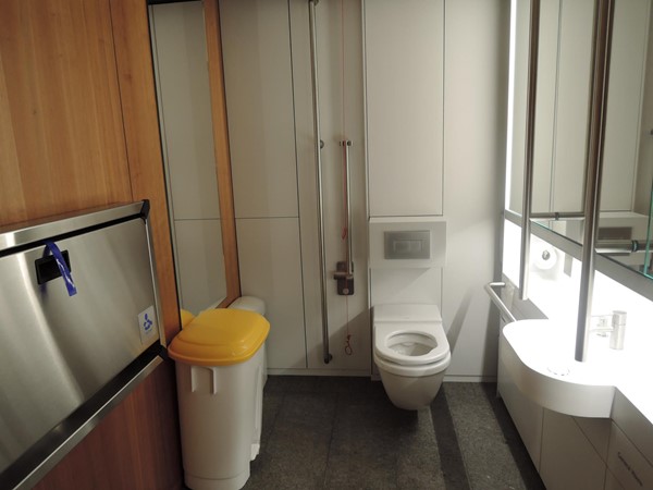 Accessible toilet