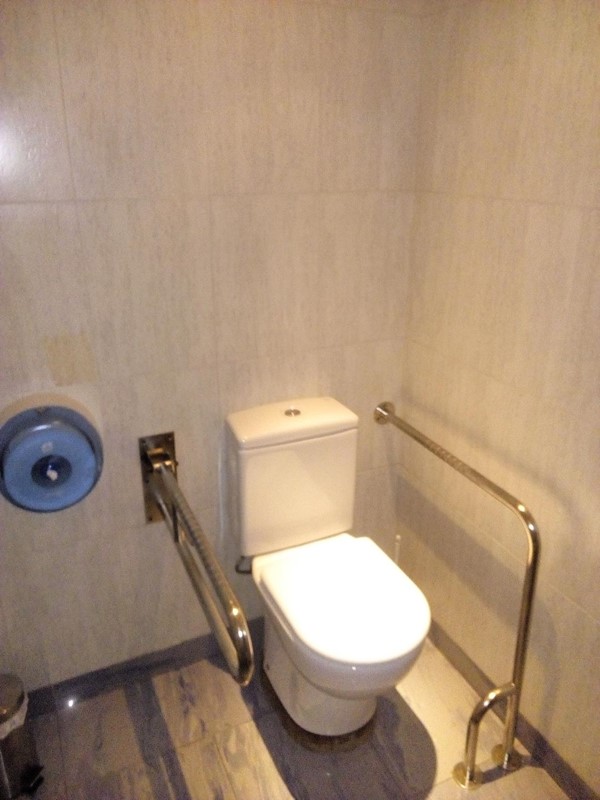 Accessible Toilet