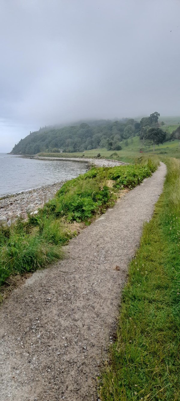 Picture of Reeds Path Loop