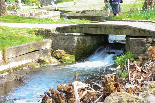 Wide wooden bridge over a stream with little waterfall.