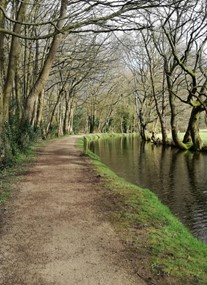 Goytre Wharf