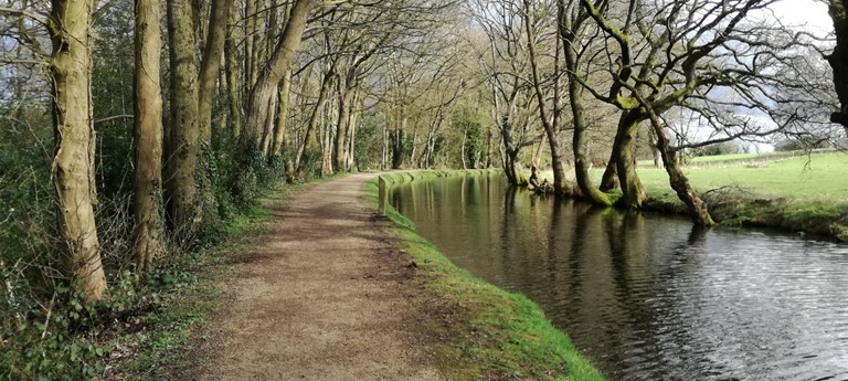 Goytre Wharf