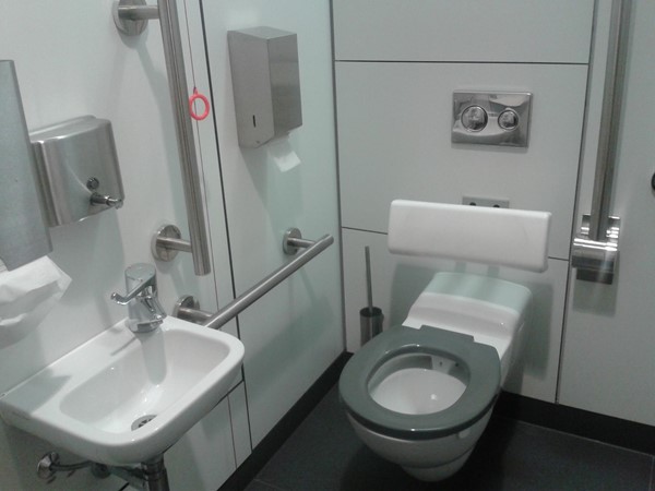 Accessible toilet