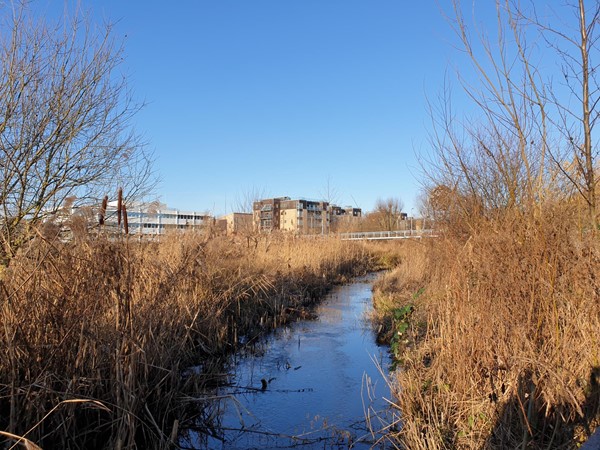 Picture of Logan's Meadow