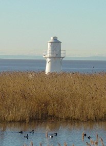 RSPB Newport Wetlands