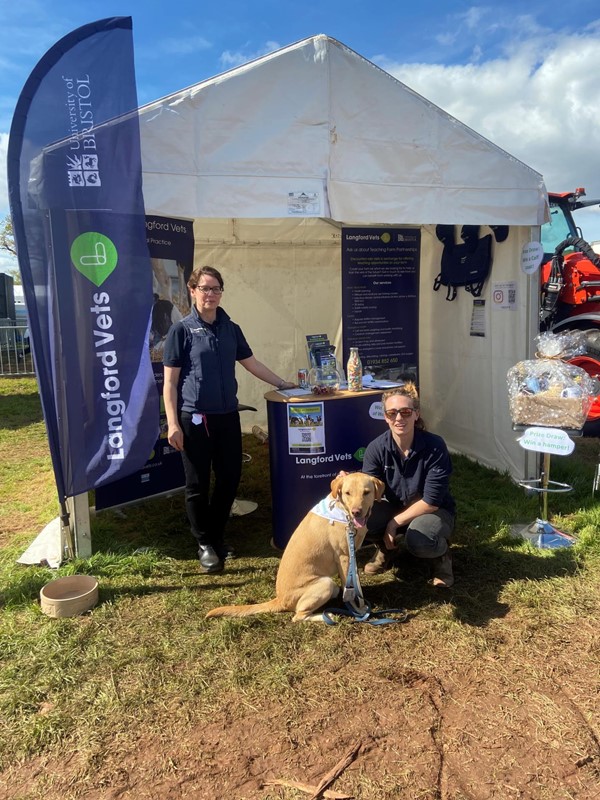 Vets at the North Somerset Show