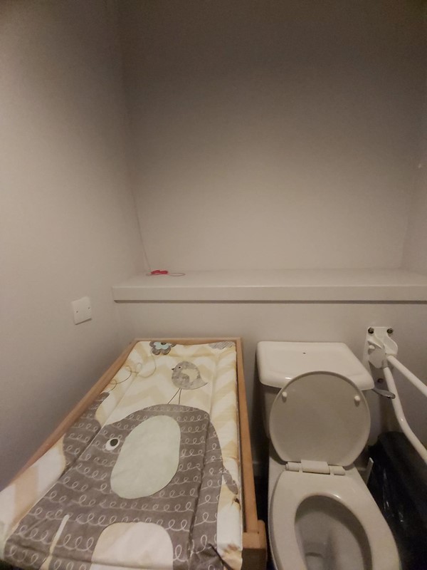 Image of a toilet and a grabrail