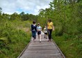 Boardwalks