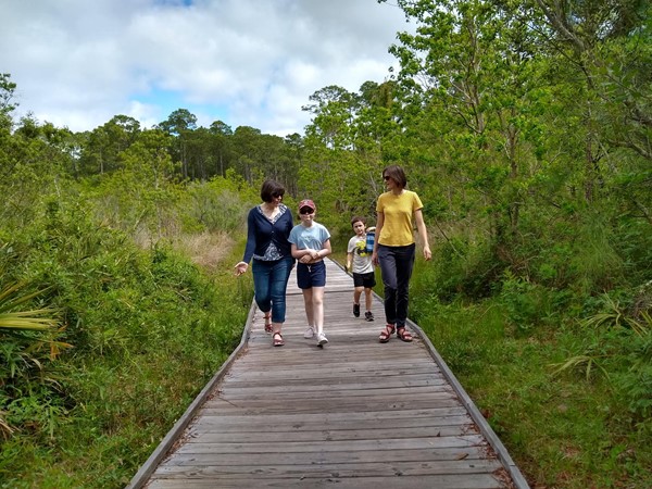 Boardwalks