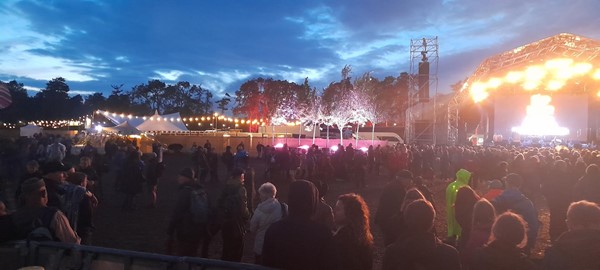 Image of a crowd of people at a concert