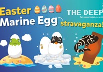 Easter Egg-Stravaganza