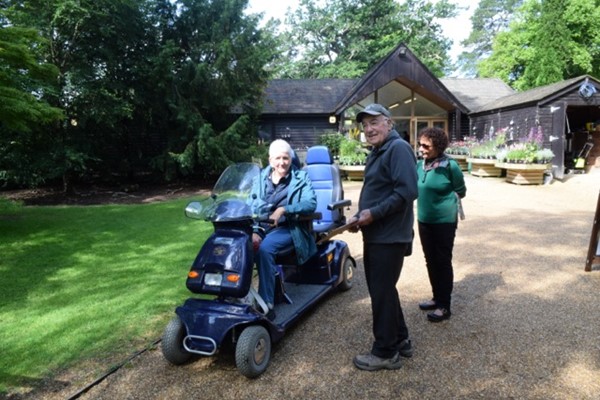 Picture of Sheffield Park and Garden