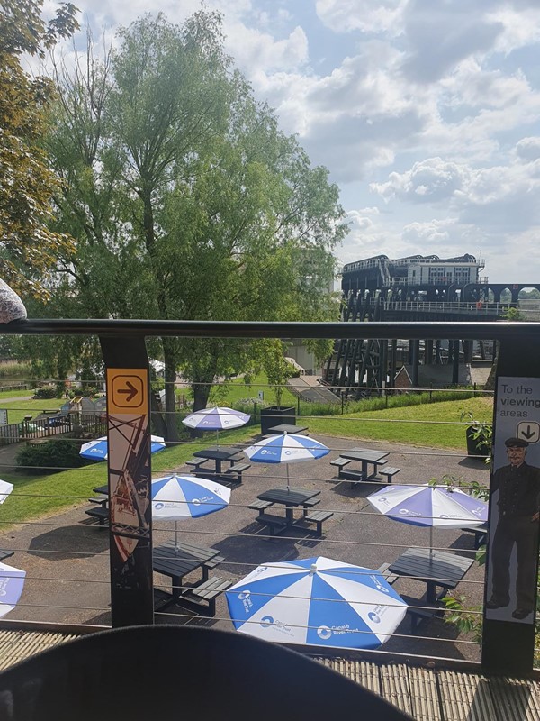 view of the picnic area from the cafe deck