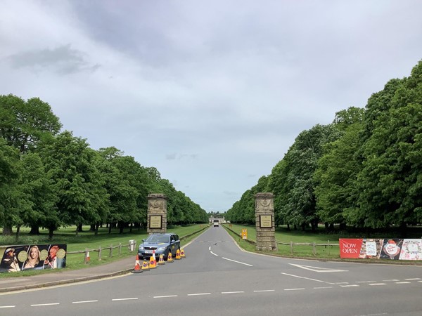 Picture of the road leading to the entrance of the hotel