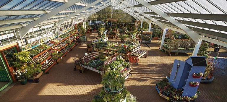 Torwood Garden Centre