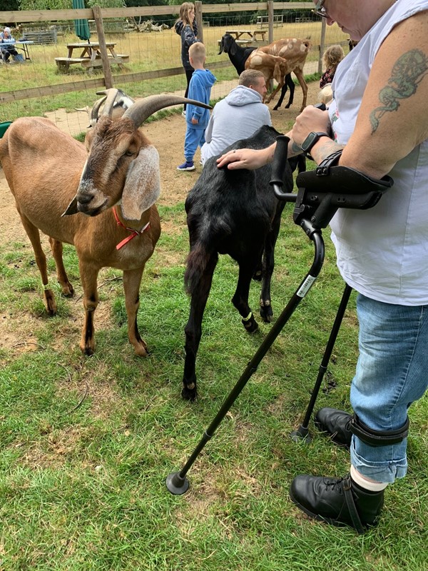 Buttercups Sanctuary For Goats