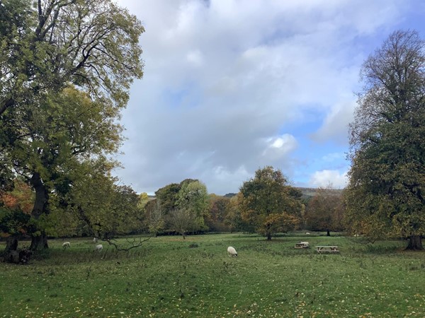 Image of the grass fields outside the venue.