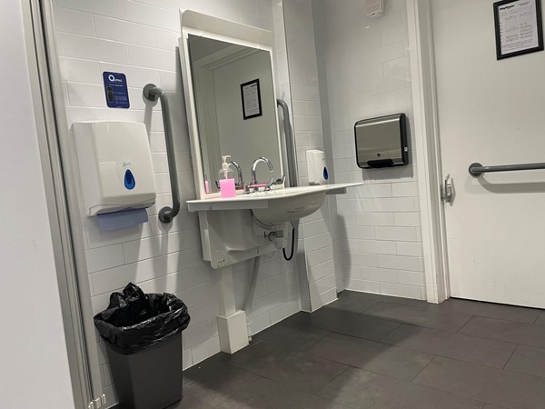 Image of a sink and a bin