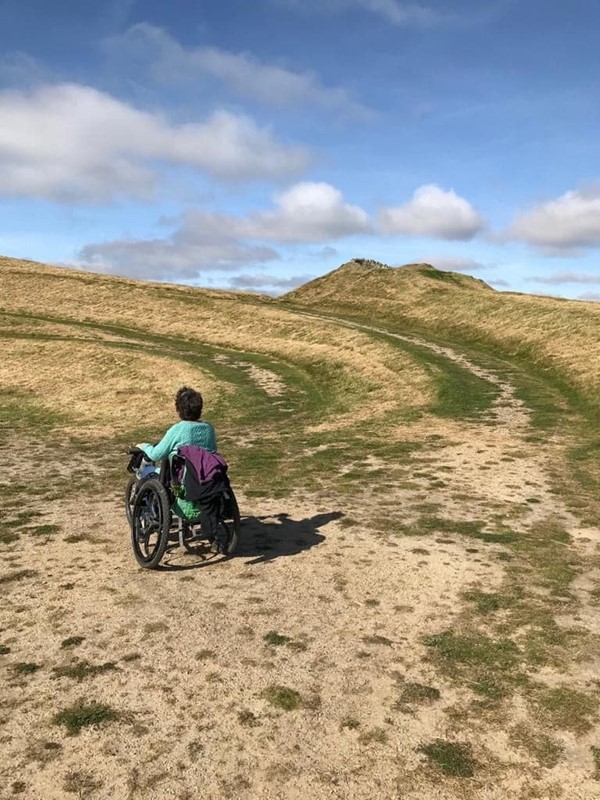 Picture of Northumberlandia