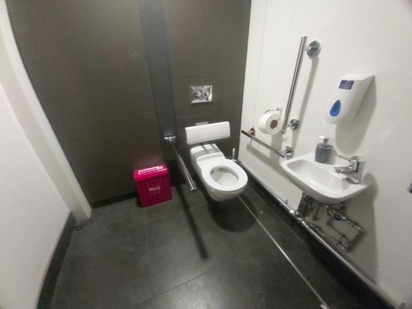 Accessible toilet